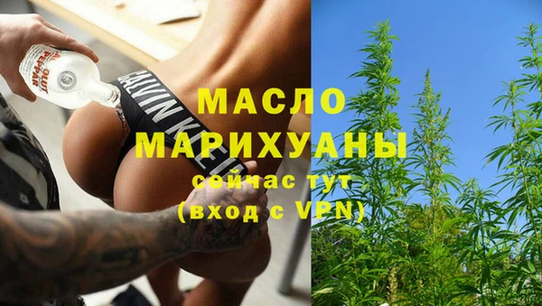 молекула духа Гусиноозёрск