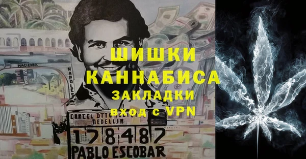 молекула духа Гусиноозёрск