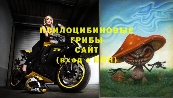 spice Гусь-Хрустальный