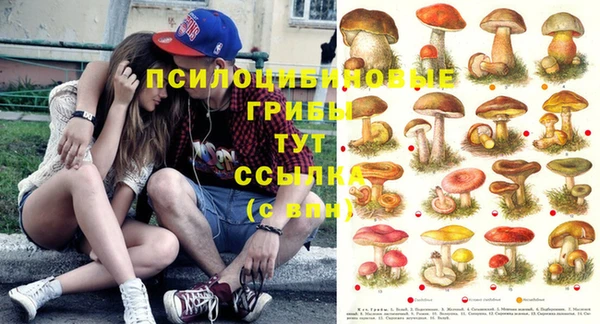 молекула духа Гусиноозёрск