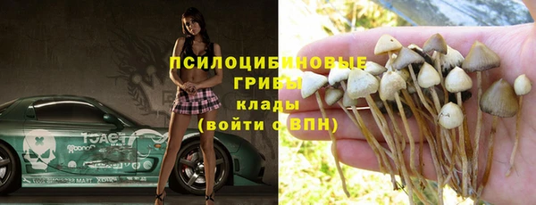 молекула духа Гусиноозёрск