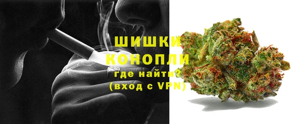 spice Гусь-Хрустальный