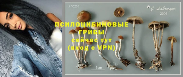 дмт Чердынь